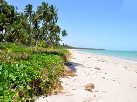 Praia do Dourado 