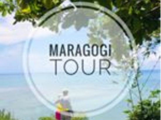 Maragogitour 