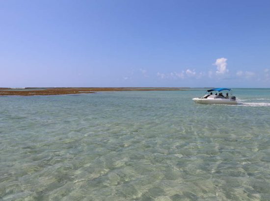 Piscinas naturais de Barra Grande 