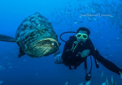 Maragogi Dive Sub