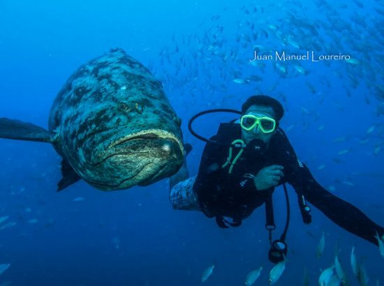 Maragogi Dive Sub 