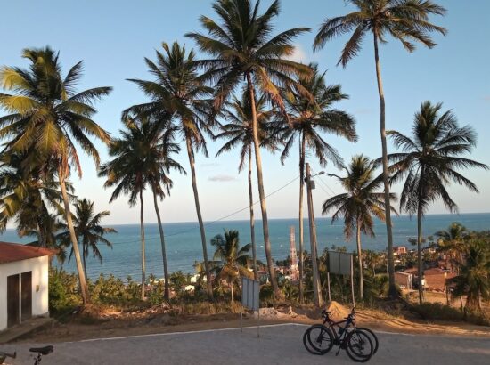 Mercadinho Concordia 